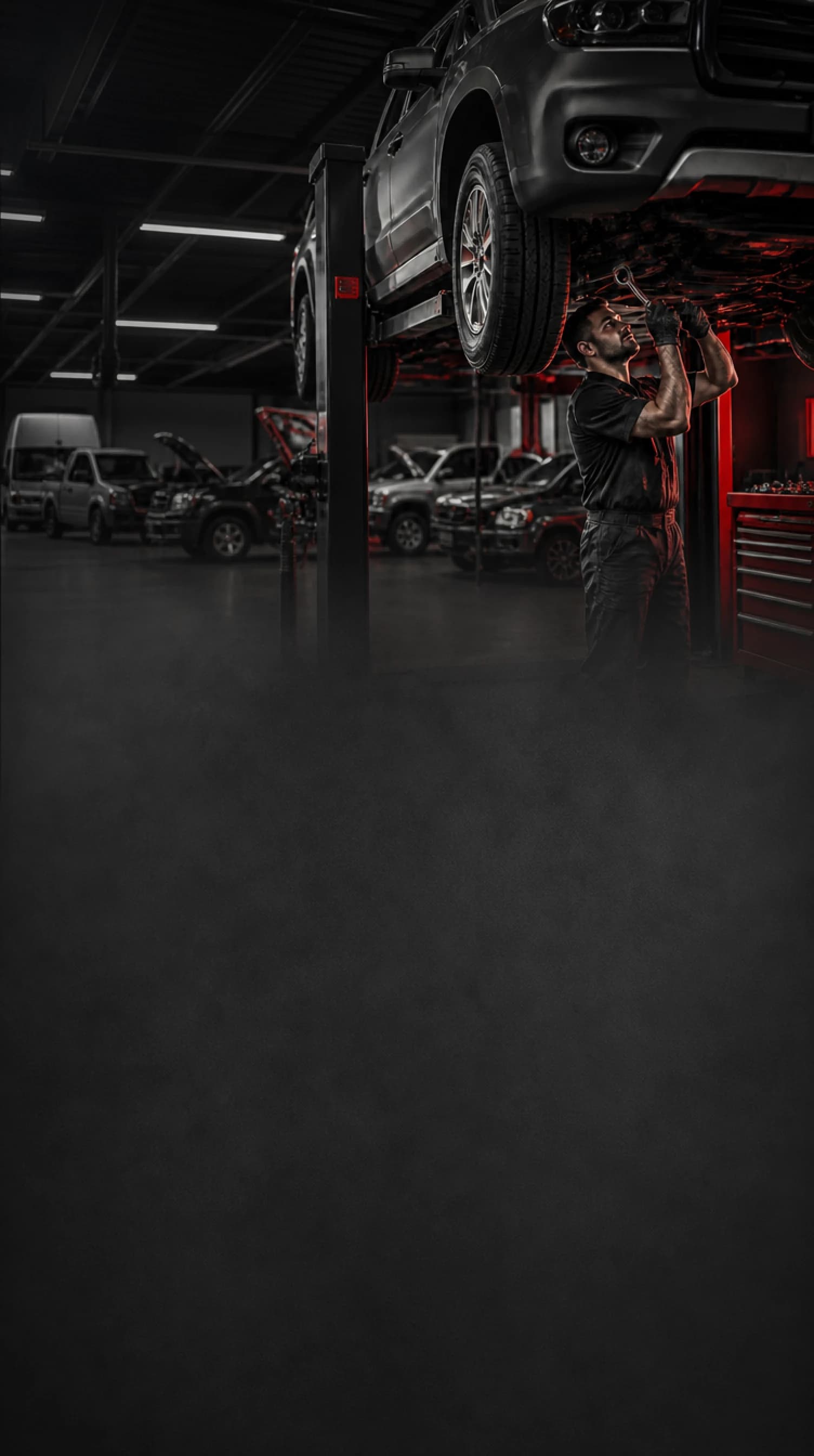 TRIMGO — Peças para linha diesel leve